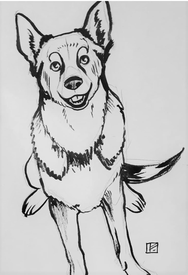 IMG_20211204_193638_149